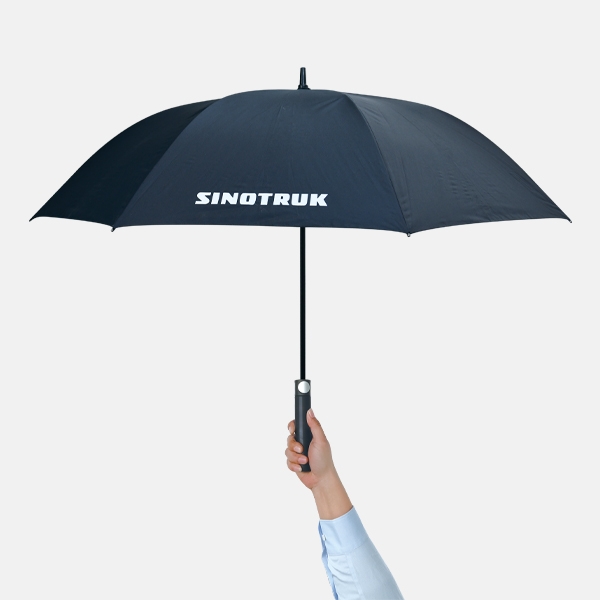 Long-handle umbrella